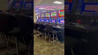 Gambling state NEVADA [upl. by Esile387]