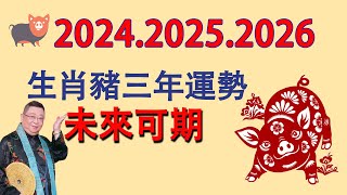 2024年、2025年、2026年這三年很特殊，生肖豬運勢運程有變化！屬豬人必看！【佛語】佛語禪心 運勢 風水 佛教 生肖 [upl. by Sucrad]