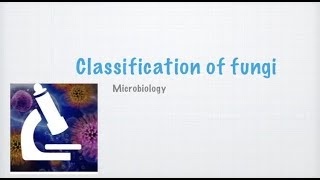 Classification of FungiMicrobiology [upl. by Anilorac882]