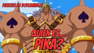 ONE PIECE Biografía completa PIKA [upl. by Drain171]