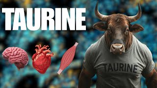 Everything About TAURINE — Mitochondrial Health The Heart amp Exercise [upl. by Ewolram388]