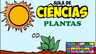 Aula de Ciências Plantas [upl. by Iralav]