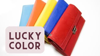 Lucky color wallet 2024 [upl. by Natanoj]