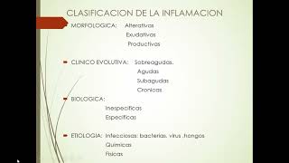 Inflamación Aguda [upl. by Bonacci427]