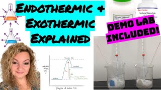 Exothermic and Endothermic Reactions  Exothermic and Endothermic Lab Demonstration [upl. by Ettennaej]