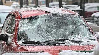 Stablo se srušilo na parkirani automobil u ulici Šandora Brešćenskoga [upl. by Jeanette]