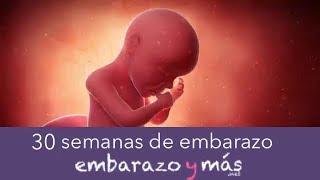 30 semanas de embarazo  Séptimo mes  EMBARAZOYMAS [upl. by Rexana]