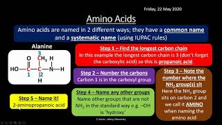 AQA 313 Amino Acids Proteins and DNA REVISION [upl. by Finley]