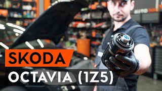 Jak vyměnit olejový filtr a motorove oleje na OCTAVIA 1Z5 NÁVOD AUTODOC [upl. by Friedrich548]