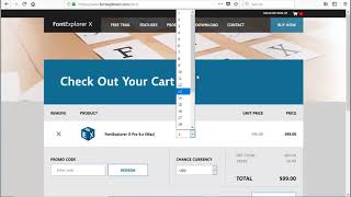 FontExplorer X Pro 30 OFF coupon code [upl. by Moscow212]