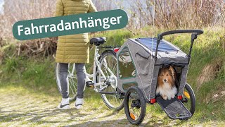 Bicycle trailer and jogger for dogs by Trixie Heimtierbedarf [upl. by Savil214]