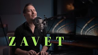 PEDJA JOVANOVIC  ZAVET COVER [upl. by Canter713]