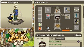 LAVENTURE DOFUS RETRO 43  MON NOUVEAU PANDA [upl. by Hselin]