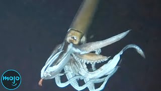 Top 10 Deep Ocean Mysteries That Scientists Are Still Trying to Solve [upl. by Sabir]