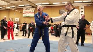 MA DAY 2012 Soest Hapkido Grandmaster Dr Marcell Daniel [upl. by Novehc]