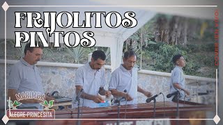 Frijolitos Pintos  cover Marimba Alegre Princesita en vivo [upl. by Simona]