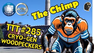 Zwift WTRL Team Time Trial number 285  CRYOGEN Woodpeckers [upl. by Alita]