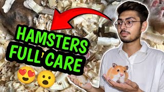 How To Take Care Of Your Pets  Hamsters  Hamster Videos 😍 [upl. by Iem]