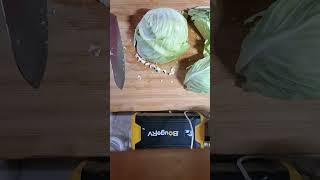 ASMR How to make smallscale Sauerkraut in your kitchen Quick and easy [upl. by Treharne]