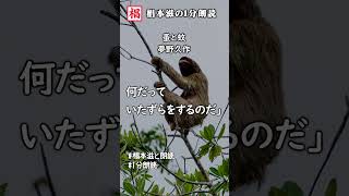 【1分朗読】『夢野久作／蚤と蚊』語り：椙本滋 短編 ショートショート 文学 随筆 おすすめ 名作 青空文庫 ナレーション 俳優の朗読 short 椙本滋の１分朗読 椙本滋と朗読 [upl. by Adiuqram]