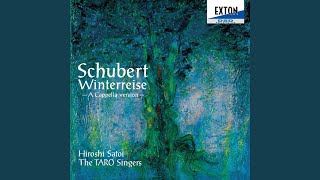 Winterreise D911 Op89 arrange Hideki Chihara  XI Fruhlingstraum [upl. by Abih572]