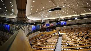 Elezioni Trump il Parlamento europeo apre al dialogo ma preoccupano i dazi [upl. by Kelda]