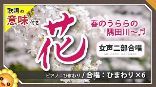 花【合唱】滝廉太郎 byひまわり🌻×6 歌詞の意味付き【日本の歌百選】2024 [upl. by Melania]