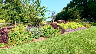 Stunning Flowers In the Late August Garden [upl. by Sinnej149]