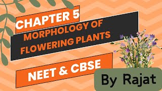 Morphology of flowering plants  Class 11 [upl. by Dame]