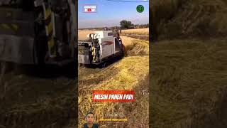 mini rice harvesting smart farming automobile padi farming agriculture [upl. by Tootsie]