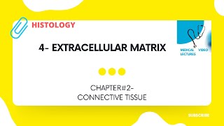 Extracellular Matrix  CHAPTER2 CONNECTIVE TISSUE [upl. by Wobniar687]