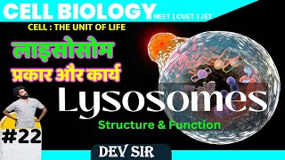 LYSOSOME Type amp Function Class 11NEET cell  The unit of life Chapter 8 by Dev sir guruwani [upl. by Dlawso]