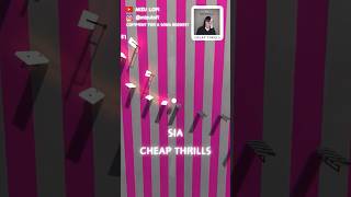 Sia  Cheap Thrills  MIZU Music Ball Cover [upl. by Bazil381]