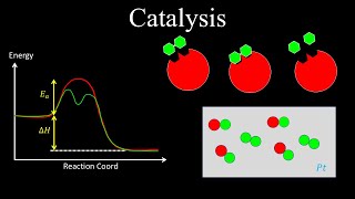 Catalysts Enzyme Catalysis AcidBase Catalysis Surface  Chemistry [upl. by Enayr]