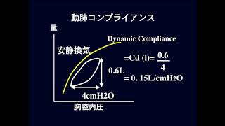 肺コンプライアンス [upl. by Valdis]