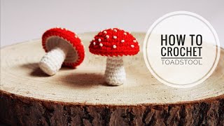 How To Crochet A Toadstool Fliegenpilz HÃ¤keln Anleitung [upl. by Nonnel]