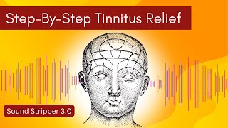 Tinnitus Relief Uncovered Your StepbyStep Guide to Soothing Tinnitus Sound Therapy [upl. by Xuagram]