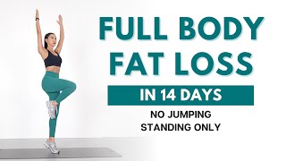 FULL BODY FAT LOSS in 14 Days  40 min Standing Workout  No Jumping Beginner Friendly [upl. by Llenad657]