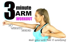 3 MINUTE ARM TONING WORKOUT  No Weights need and you will feel it working START NOW [upl. by Aremus]