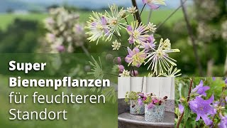 Super Bienen und Schmetterlingspflanzen für feuchtere Standorte [upl. by Jeramie]