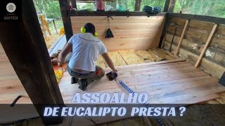 ASSOALHO DE EUCALIPTO veja esse vídeo [upl. by Welcher403]