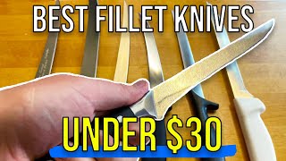 7 Best Fillet Knives Under 30 Tested for over 3 months [upl. by Rosol516]