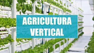 Granjas verticales El futuro de la agricultura Tendencias Tecnológicas [upl. by Ruben]