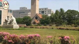 A Tour of Sejong University [upl. by Jeffrey]