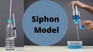 Siphon Model  ThinkTac [upl. by Nosdivad528]