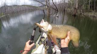 Hinze Dam Saratoga GoPro Edit [upl. by Allison]