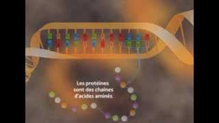 Les effets des rayonnements sur la santé [upl. by Akcirred123]