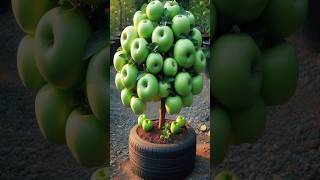 Grow Juicy Green Apples TWICE As Fast With This Pro Farming Tip farming satisfying [upl. by Eeraj]