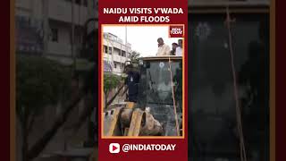 Andhra Pradesh CM Chandrababu Naidu Visits FloodAffected Areas In Vijayawada  India Today [upl. by Angy]