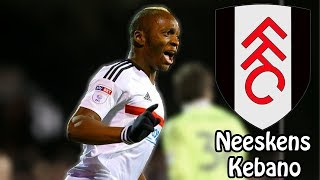 Neeskens Kebano  Best Moments Fulham 201617 Goals Assists Skills Key Moments [upl. by Philly]